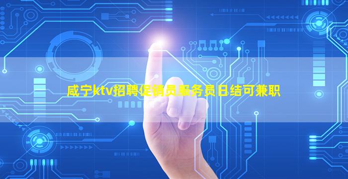 咸宁ktv招聘促销员服务员日结可兼职